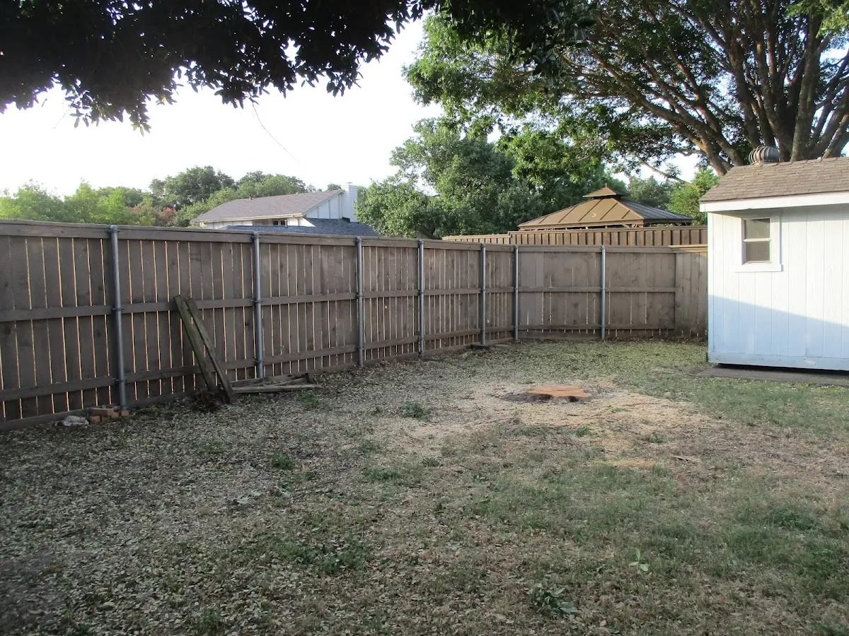 Cleared yard after professional tree removal in Summit Hill