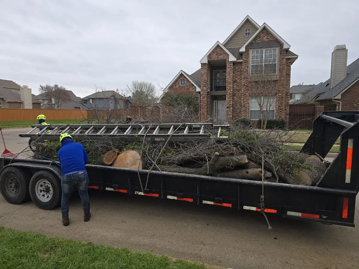 Expert Lot Clearing with proper safety equipment in Summit Hill